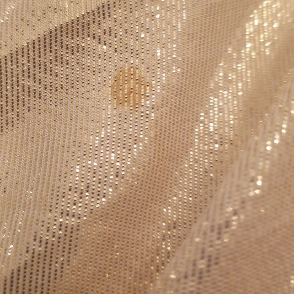 Bebe Gold sheer dress with gold beading - Picture 7 of 7